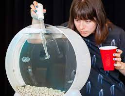 Pin On Aquariums