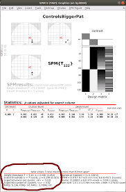 Spm (statistical parametric mapping) refers to the construction and assessment of spatially extended statistical processes used to test hypotheses about functional imaging data. Perform Spm Equivalent Two Sample T Test Analysis Including Covariates Using Nistats Nistats Neurostars