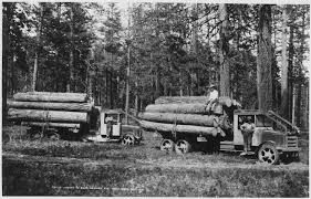 Once you have bought the perfect boards, bring them now you are ready to start your project! History Of The Lumber Industry In The United States Wikipedia