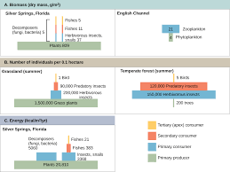 37 2 Energy Flow Through Ecosystems Teks Guide