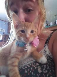 Reunited dog with owner in Green Valley Ranch