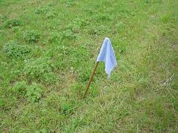 Oct 09, 2020 · once you have set up each team needs to enter the opposing teams zone to try and find their flag and bring it back to their zone. Capture The Flag Wikipedia