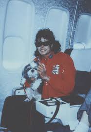 Michael Jackson With Puppy Wow Another Pic Of Him With A Dog Wonder Y He Said Liz S Puppy Was Sca Michael Jackson Bad Michael Jackson Michael Jackson Bad Era