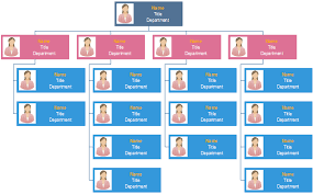 Org Chart Example Organizational Chart Chart Graphic Design