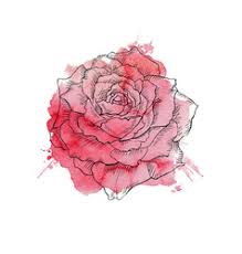 Jun 07, 2021 · the most important thing when you're beginning with watercolors is to have the right supplies: Watercolour Flowers Red Vector Images Over 780