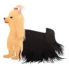 Cartoon Yorkie Photos Royalty Free Images Graphics Vectors Videos Adobe Stock See more ideas about realistic cartoons, cartoon, cartoon characters. cartoon yorkie photos royalty free