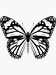 Simple butterfly outline maturitniples info. Monarch Butterfly Pattern Monarch Butterfly Vintage Butterflies Butterfly Patterns Black And White Mens Butterfly Tattoo Vintage Tattoo White Tattoo