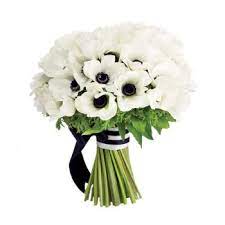 Mar 18, 2019 · white is a classic symbol of perfection which means you should definitely plant some of these flowers in your backyard! Christchurch Black And White Romance Flower Delivery White Anemones Bridesmaids Bouquet Flower Delivery Christchurch Online Florist Christchurch
