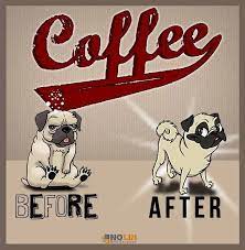 Shoppers save an average of 13% using this coupon code. Coffee Making Weekdays Possible Since The Beginning Of Time Seattle Coffee Gear Coupons Http Www Pinterest Com Annacoupons Seatt Pugs Cute Pugs Funny Memes
