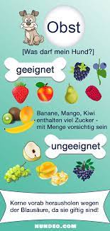 30 gesunde obst und gemuse sorten fur hunde gemuse fur hunde obst fur hunde hunde ernahrung