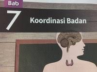 Bab 7 | koordinasi badan. Koordinasi Badan Tingkatan 4