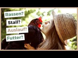 Huhnerhaltung Im Garten Rassen Stall Auslauf Co Wurzelwerk In 2020 Huhnerhaltung Im Garten Huhner Haltung Huhner