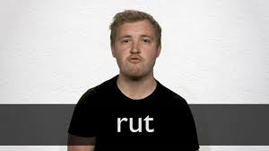 A sunken track or groove made by the passage of vehicles. Rut Definition Und Bedeutung Collins Worterbuch