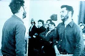 Image result for Dan Graham