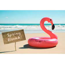 Download spring break clip art and use any clip art,coloring,png graphics in your website, document or presentation. Amazon Com Csfoto 10x7ft Spring Break Backdrop Pink Inflatable Flamingo Swim Ring Backdrop Beach Seaside Break Photography Background Adults Kids Newborn Portrait Photo Studio Props Camera Photo