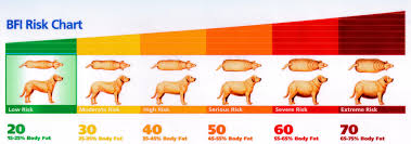 71 Reasonable Dog Weight Charts