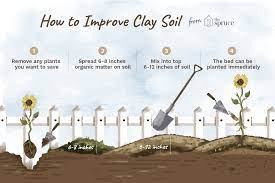 Check spelling or type a new query. Understanding Clay Soil And How To Improve It