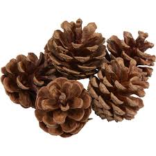 Pomme De Pin Naturel Decoration Decoration De Noel A Poser Decoration Interieure De Noel Decoration De Noel Gifi Pomme De Pin Decoration Noel Deco Noel