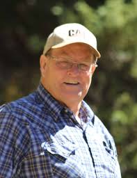 Obituary: Dennis Edgar Wells, Sr.