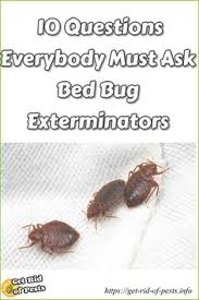 Maybe you would like to learn more about one of these? 17 Best How To Eliminate Bed Bugs Ideas Rid Of Bed Bugs Bed Bugs Bugs