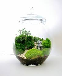 Asian Landscape Garden Terrarium With Miniature Path Pagoda Tree In A Large Decorative Glass Jar Garden Terrarium Miniature Garden Terrarium
