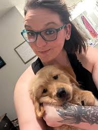 Hi I've found a dog in L30 Rochester Avenue it's a staffie bull dog type  really friendly girl can anyone give me advice