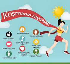 bagisiklik sistemi immun system bagisiklik sistemi vucut gelistirme dogal tedaviler