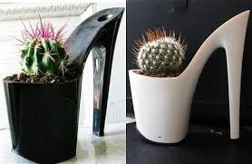 cactus flower pots planters garden decor
