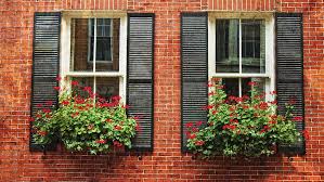 Novelty terra countryside flowerbox 18 inch. Geranium Window Boxes On Colonial Windows Photograph By Joann Vitali