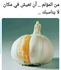 Pin By Najd On مماراق لي Vegetables Food Onion