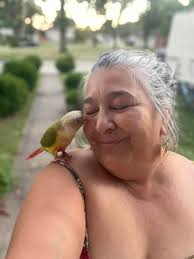 Missouri Birds Lost and Found