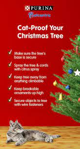 It's hard to explain why our furry friends adore christmas in most families, cats show some kind of unhealthy interest in christmas trees. Pin On Pets