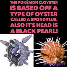Pokemon why did they make cloyster look like a vagina