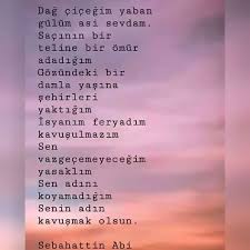 362 Begenme 56 Yorum Instagram 39 Da Gizli Yarammm Sakli Yareler Quot Begendiyseniz Yoruma Birakmayi Unutm Adlar Yorum Instagram