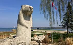 Image result for Glamour Turquoise 1994 Shadow