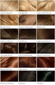 hair colour chart in 2019 clairol hair color hair color