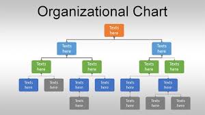 management hierarchy chart template organizational chart