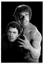 Lou Ferrigno And Bill Bixby Www Giampaolocasarini Com Widower tom corbett raises his. lou ferrigno and bill bixby www