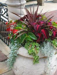 Pin By Lika Hindi On Container Gardening Garden Containers Outdoor Flowers Container Plants