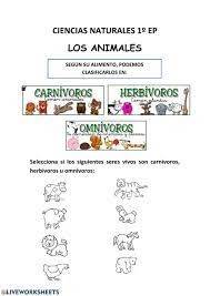 ¡hoy comparto contigo un libro de actividades de aprendizaje para preescolar! Clasificacion De Los Animales Ficha Interactiva Clasificacion De Animales Carnivoros Animales Carnivoros