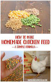 Pin By Terri Lee On Homemade Things In 2020 Chicken Feed Chicken Diy Chickens Backyard