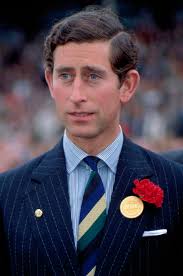 Cardigan Coton Polyacrylique Gilet Maille Charles Colby Duke Modest