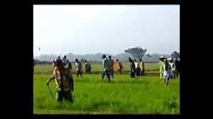 Ketika stadium awal, terkadang penyakit ini belum terdeteksi. Perusakan Sawah Desa Srikaton Kayen Pati Youtube