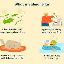 Each year, salmonella infections, called salmonellosis, sicken more than 1 million people. How To Prevent Salmonella