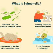 Food is the source for most of these illnesses. How To Prevent Salmonella
