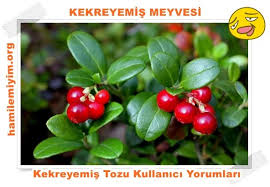 Kekreyemis Tozu Ile Zayiflayanlar Diyet