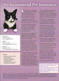Compare the discounts you could get for buying online. We Recommend Pet Insurance Rainbow Veterinary Hospital