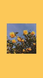 Check spelling or type a new query. Yellow Tumblr Wallpapers Wallpaper Cave