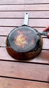 rose sturgess (rosecsturgess)