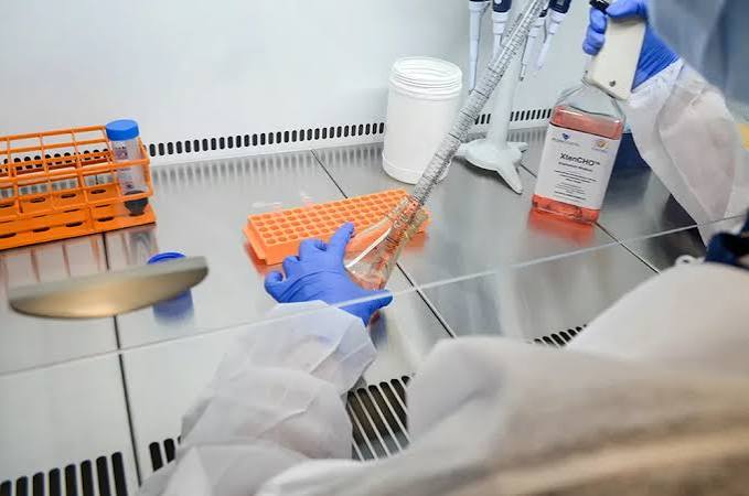 Custom antibody production | Guaranteed | ProteoGenix